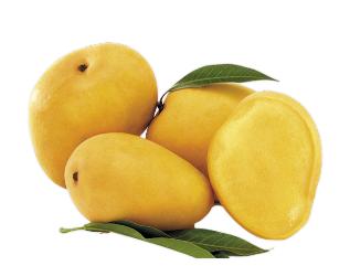 Order Alphonso Mangoes Online | Free Delivery!
