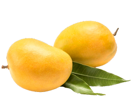 Order Indian Alphonso Mangoes Online | Free Delivery!