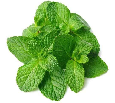 Authentic Indian Groceries at the right price