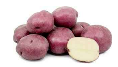 Authentic Indian Groceries!