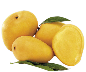 Order Alphonso Mangoes Online | Free Delivery!