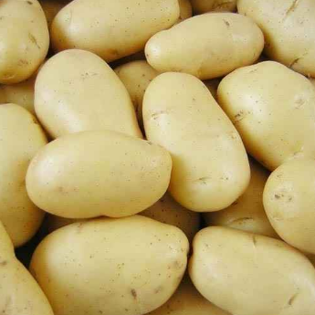 Indian Grocery Online!