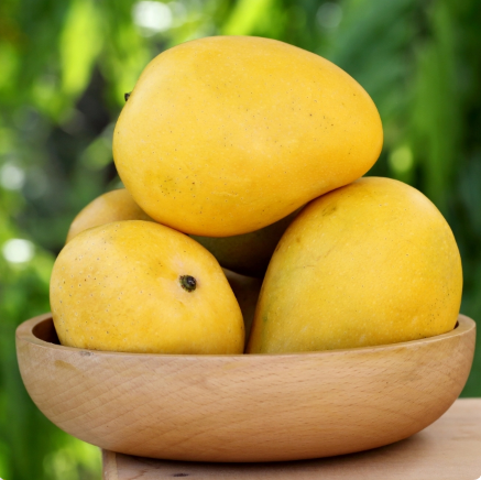 Buy Premium Indian Mangoes!